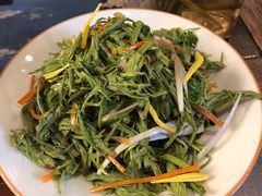 云南野生沙松尖-滇越乘象云南餐厅(豆各庄店)
