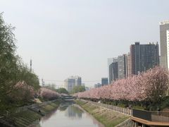 -大望京公园