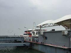 -厦门五通客运码头