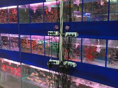 -三旗百汇商品城