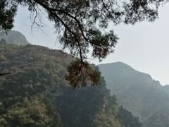 -北京上方山国家森林公园