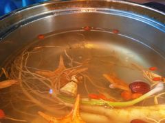 -千岛蚝高压锅生蚝·人参火锅(白云万达店)