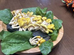 -红鼎豆捞·专注品质海鲜20年(宝丰路店)