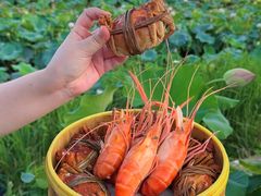 -七的湖·晚芳亭·阳澄湖农家菜·大闸蟹(莲花岛店)