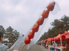 -汉景帝阳陵博物院
