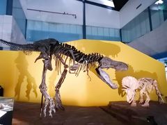 -湖南省地质博物馆