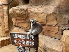 -北京野生动物园