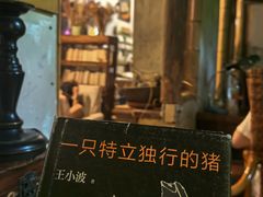 -斯多格书乡(北京大学畅春园店)