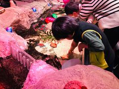 -沈阳海洋探索中心