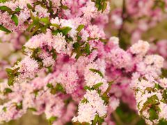 景点-南海子公园