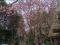 -重庆彩云湖湿地公园
