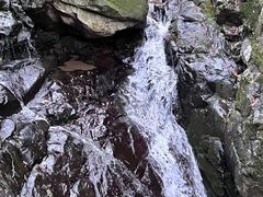 -藏龙百瀑风景区