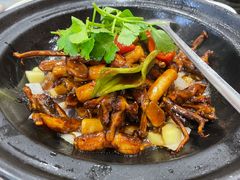 鸭舌田鸡啫啫煲-红厨巷·淮扬菜(熙南里店)