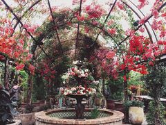 景观位-The Grounds of Alexandria
