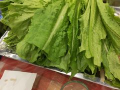 -金鼎雪山牦牛杂火锅(理县总店)