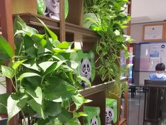 -眉州东坡·熊猫主题餐厅(枫蓝店)