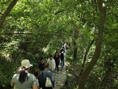 -采石矶景区