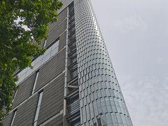 -紫峰大厦
