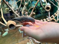 -Zoolung Zoolung动物主题公园(海信广场店)