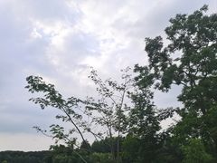 -东湖磨山景区