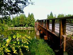 -九里河湿地公园