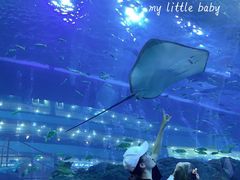 -成都浩海立方海洋公园