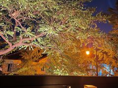 -LAMP BAR 水烟音乐酒吧