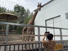 -水上乐园·欢乐世界