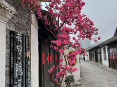 -青果巷历史文化街区