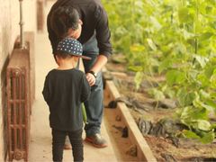 -万源龙顺度假庄园生态观光园