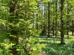 -国家植物园南园