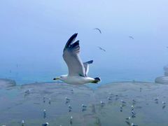 -星海广场