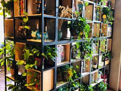 -ZING COFFEE 镜咖啡