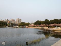 -新江湾城公园