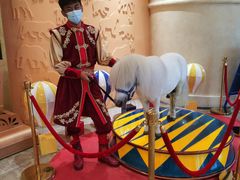 -珠海横琴长隆《卡卡虎奇遇记》