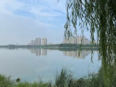 -金银湖国家城市湿地公园