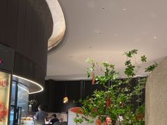 -新兴·金羊座·粤菜点心(乐峰店)