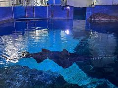 -暹罗海洋世界