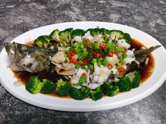 金汤古法老虎斑-浑河北岸小酒馆(银河丽湾店)