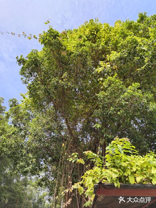 广东金融学院(校本部)图片