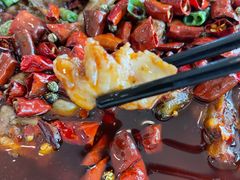 -胖大姐黄辣丁鱼庄(新津店)