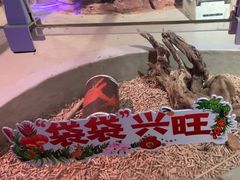 -正佳雨林生态植物园