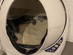 -有猫主题·治愈系猫咖(曾厝垵店)