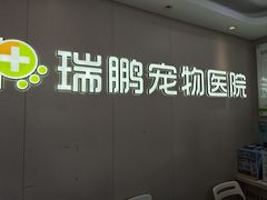 -瑞鹏宠物医院•异宠•宠保定点•流浪定点救助宠物医院(青祁店)
