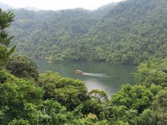 -鼎湖山风景区