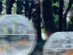 -狼山风景名胜区