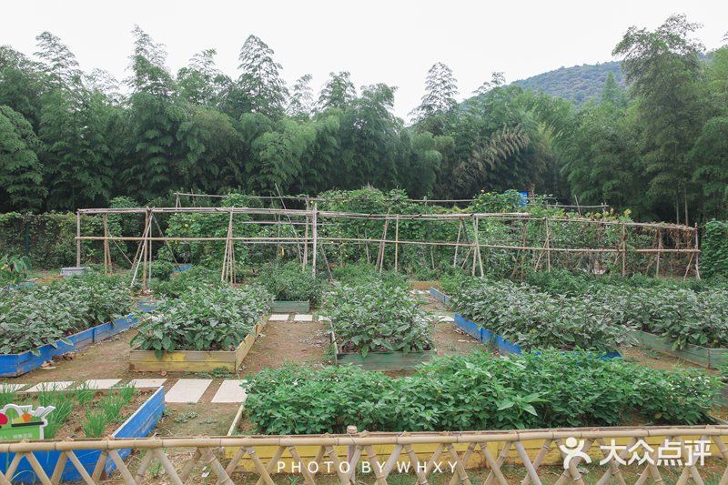 长兴开元芳草地乡村酒店| 杭州周边的世外桃源