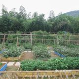 长兴开元芳草地乡村酒店| 杭州周边的世外桃源