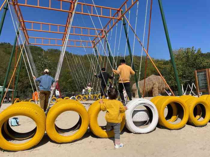 南京龙出没乐园-"交通:节假日 风筝节时开车过去的,10.