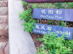 -鬼笑石后山停车场